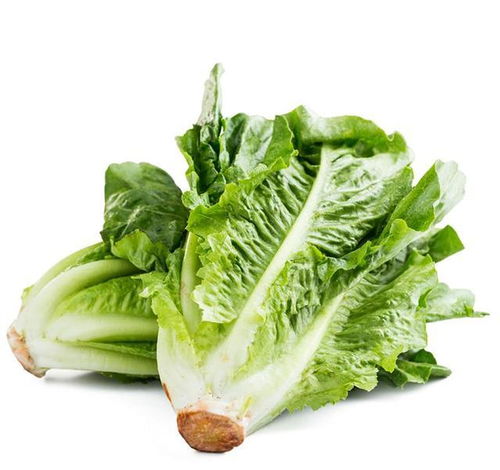 家長(zhǎng)們看過來 這四種食物給孩子吃，好消化更長(zhǎng)個(gè)